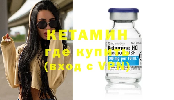 сатива Верея