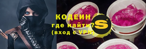 сатива Верея