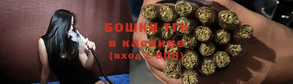 сатива Верея