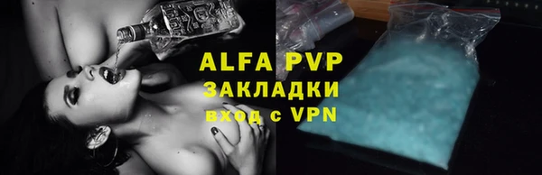 сатива Верея
