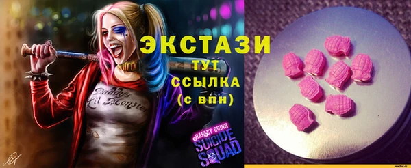 сатива Верея