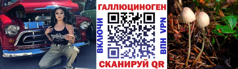 Купить где  Димитровград  Галлюциногенные грибы мухоморы 